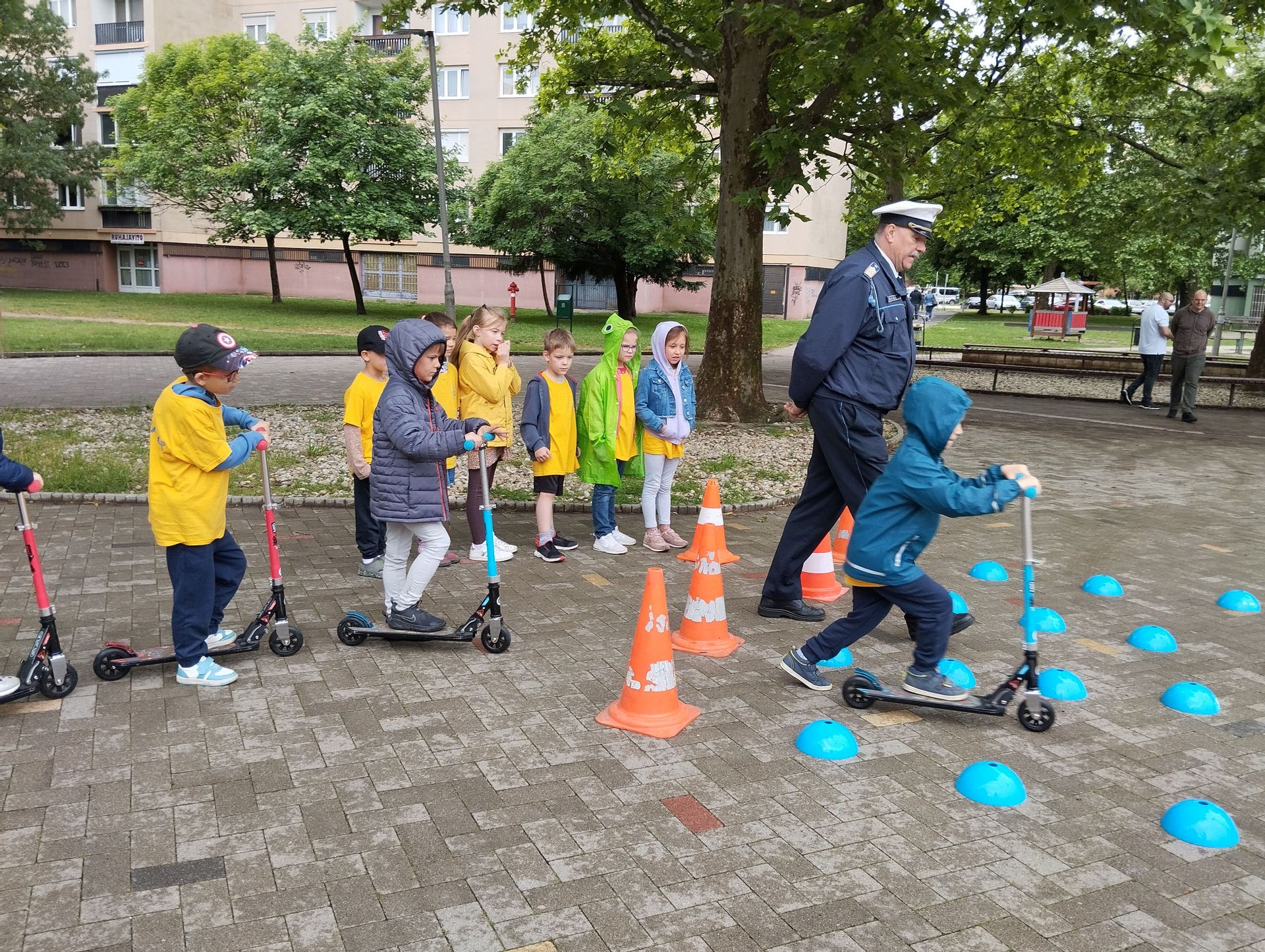 large_1715162186494_9ba2572447