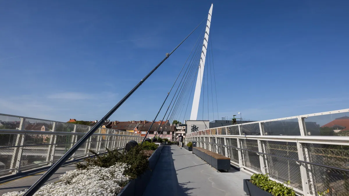 bd583903a0df49429b2ccf0b95cba502