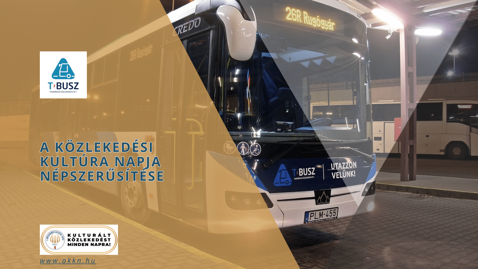 Kommunikációs támogatás – T-Busz