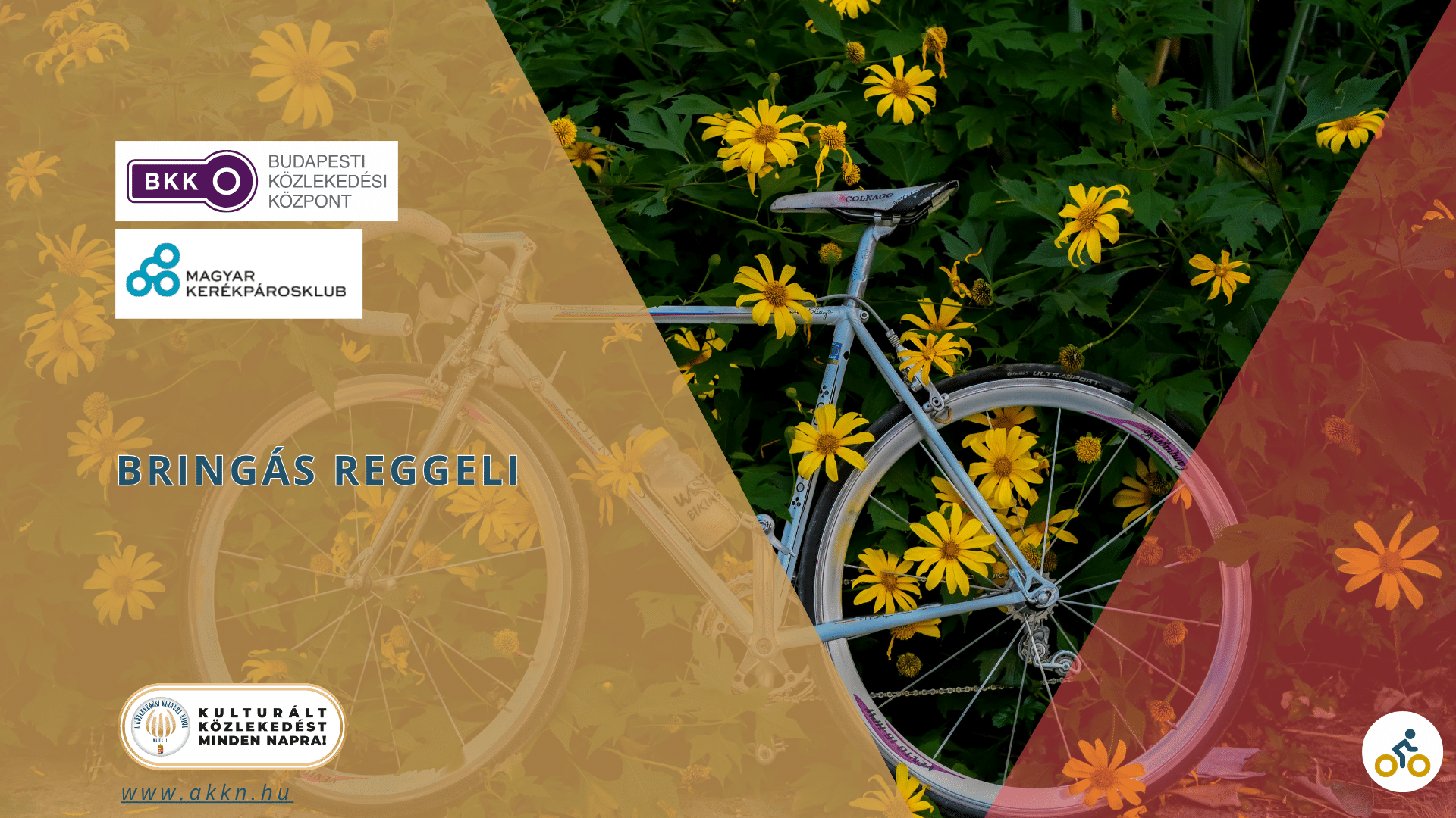 Bringás reggeli – BKK